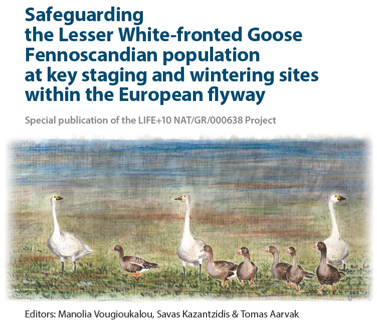 CyberTracker used to safeguard the Lesser White-fronted Goose in Greece ...